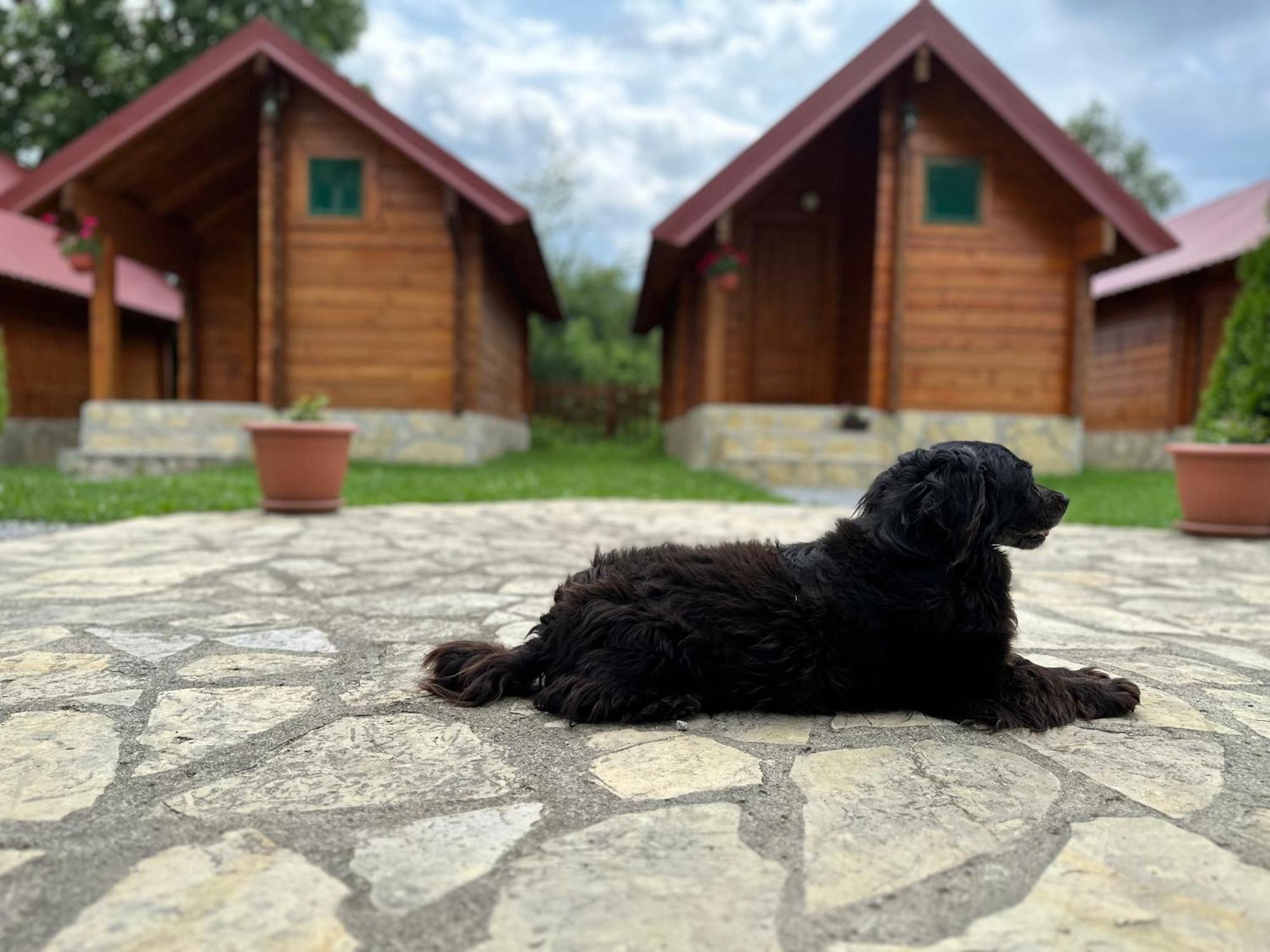 Tara Valley Eco Lounge Мойковац Экстерьер фото